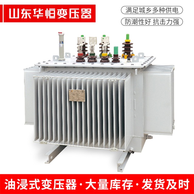 S13-10000/35肃南肃南肃南电力变压器