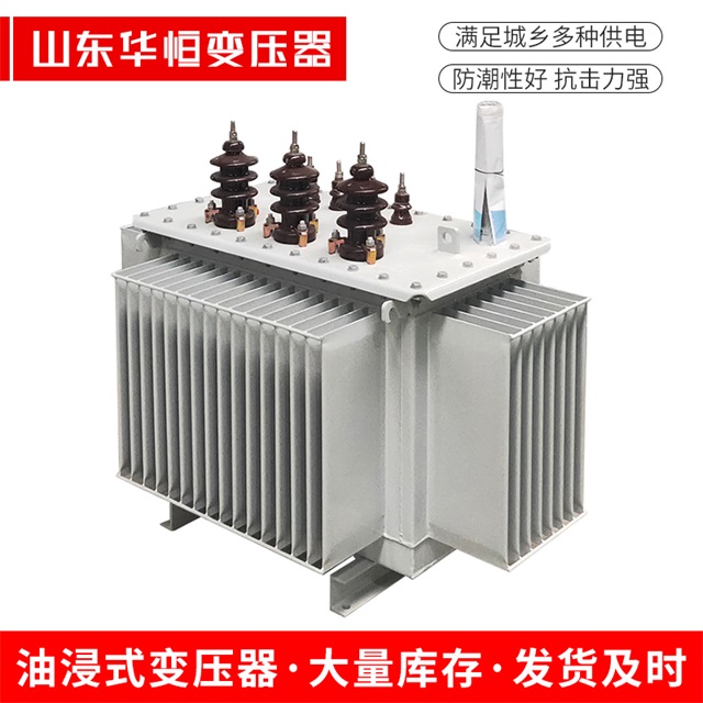 S13-10000/35肃南肃南肃南油浸式变压器厂家